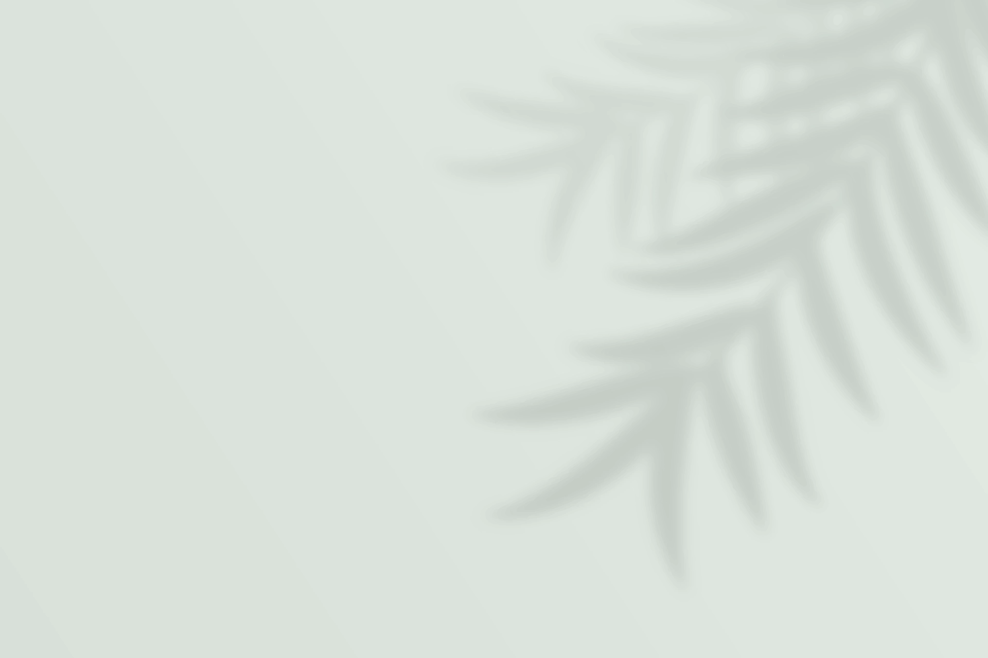 Simon's Holiday House - Cazare Munții Apuseni